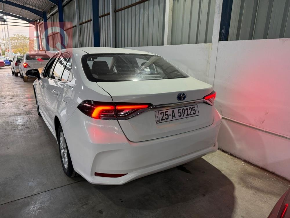 تويوتا كورولا